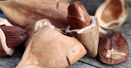 Migdały i pistacje pójdą w zapomnienie. Te orzechy rozpływają się w ustach jak masło