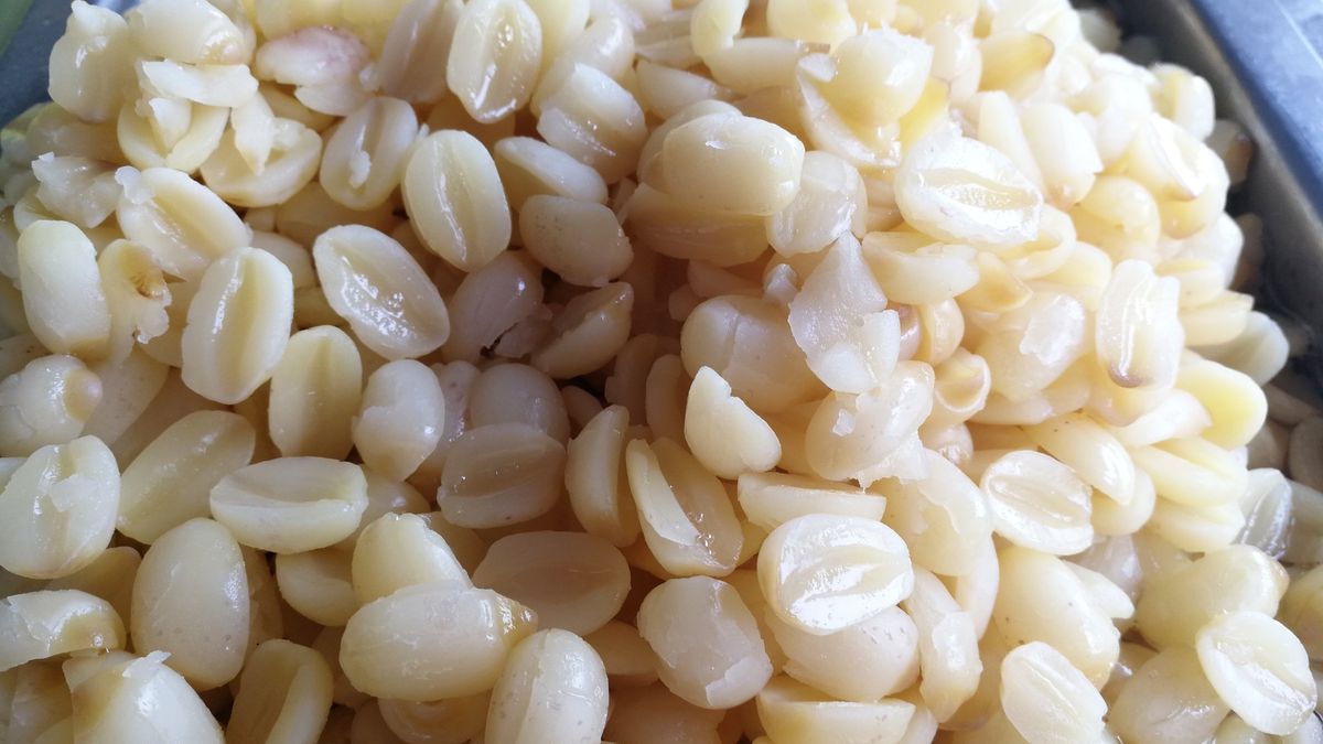 Czosnek chroni przed rakiem jelit