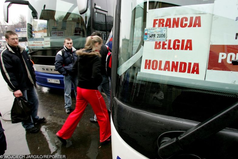 Praca w Holandii - zasiłki to oszustwo, któremu "pomaga" system