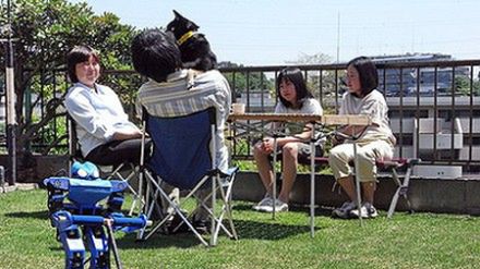 Robot do trawników 1