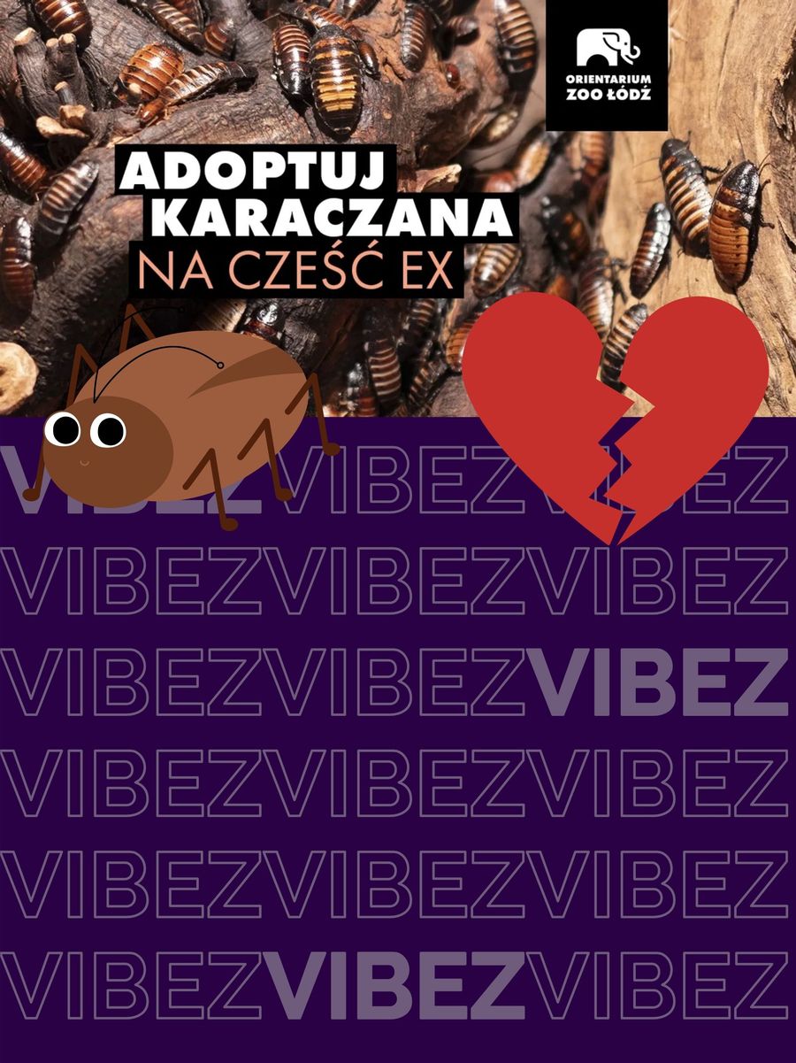 Łódzkie zoo i walentynki 2023