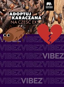 Złamane serce? W zoo w Łodzi możesz nazwać karaczana imieniem byłego