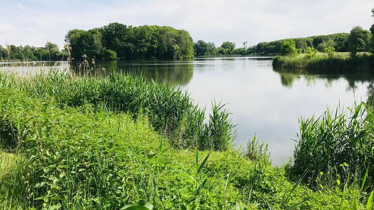 Raszyn. Ekolodzy są przerażeni pomysłem na zabudowę Stawów Raszyńskich, rezerwatu przyrody, deweloperskim osiedlem mieszkaniowym i budynkami biurowymi i usługowymi
