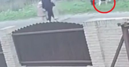 Wyszli na spacer z dzieckiem. Przywiązali psa do ogrodzenia i odeszli