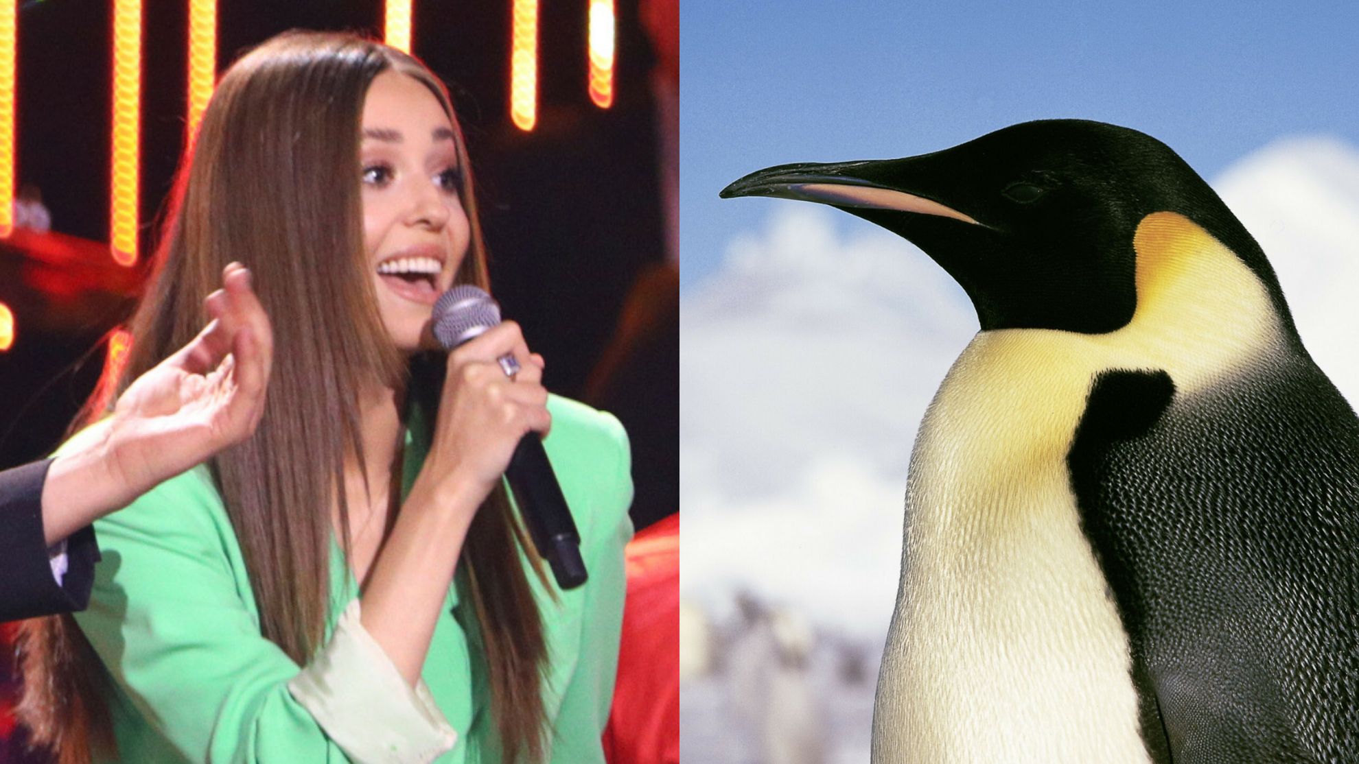 Oto największe wpadki telewizyjne 2021 roku 