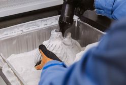 Nowe koncepcyjne sneakersy Reebok x Botter Engineered by HP to zapowiedź nadchodzących innowacji
