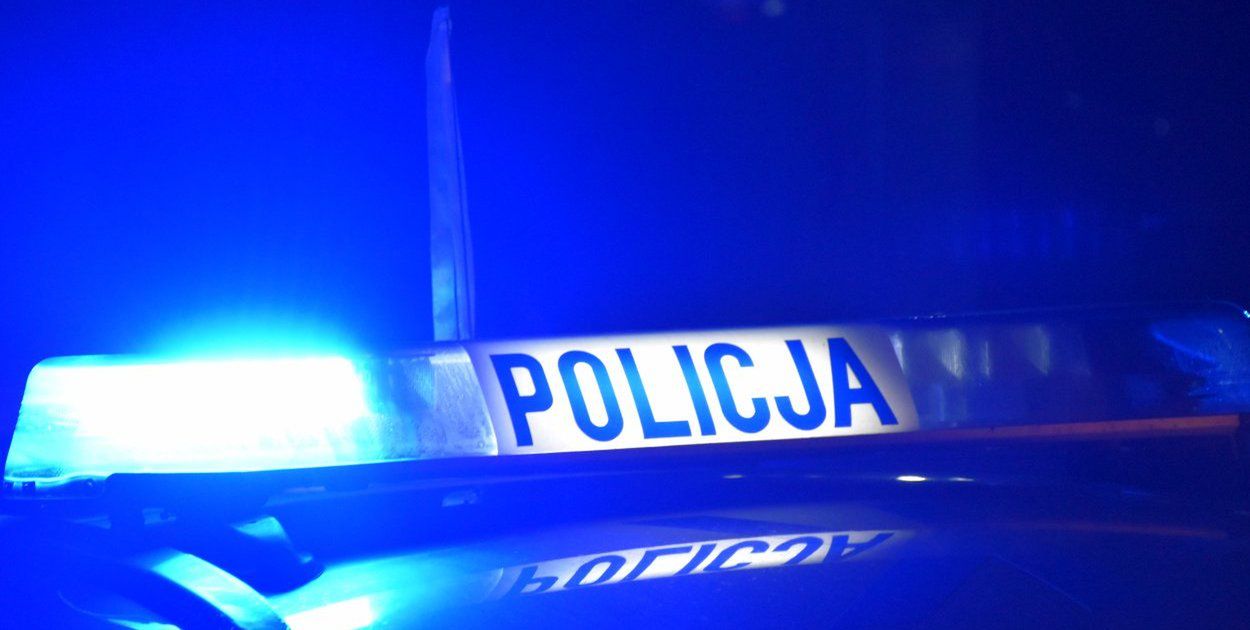 Grębów: Zderzenie z dzikiem na drodze. Kierowca miał dużo szczęścia