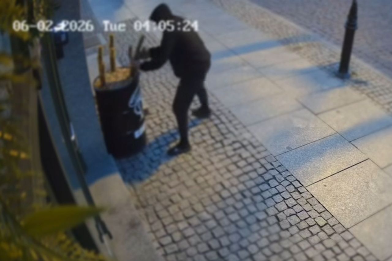Walka z kaktusem o 4 rano. "Co trzeba mieć w głowie?" Nagranie z Torunia
