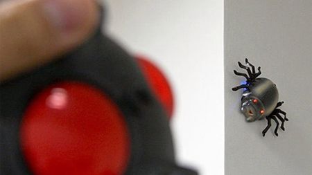 Robak R/C, który chodzi po ścianie 1