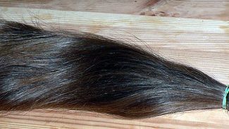 Jak uczesać idealny koński ogon? Zapytaj fizyka 1