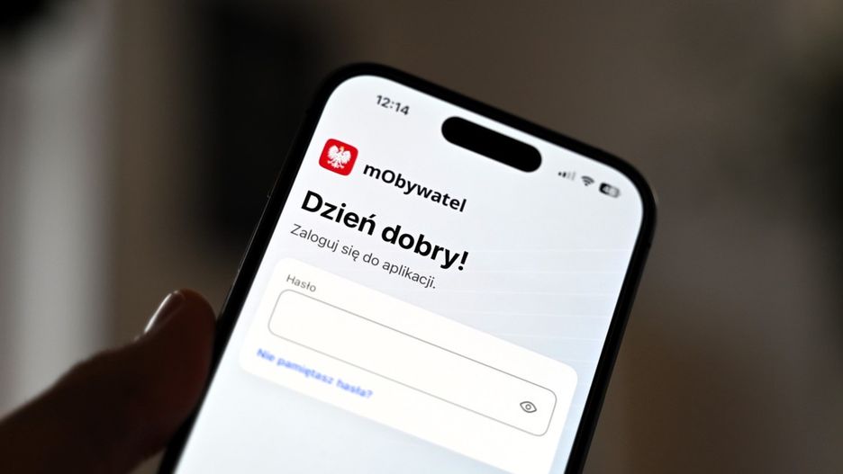 Fot. ddwloclawek.pl / siecportali.pl