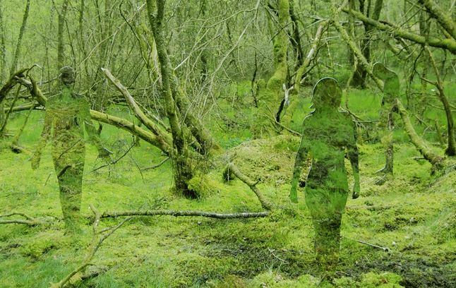 Invisible mirror statues