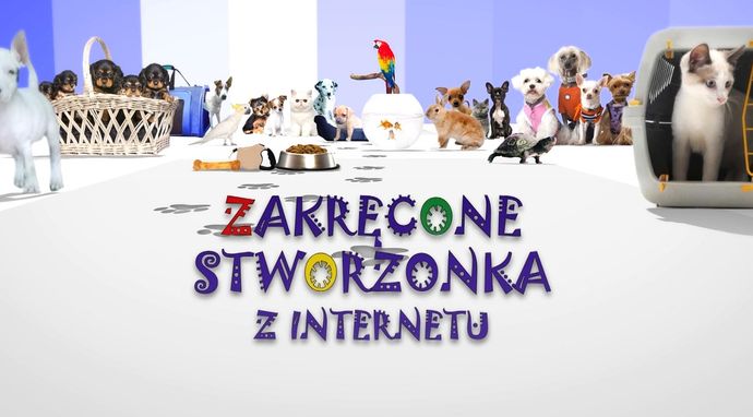Zakręcone stworzonka z internetu 2