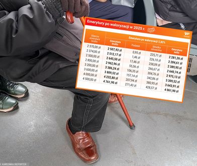 Takie będą emerytury w 2025 r. Dwa warianty
