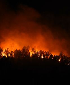 Wielki pożar na południu Francji. Setki strażaków walczą z żywiołem