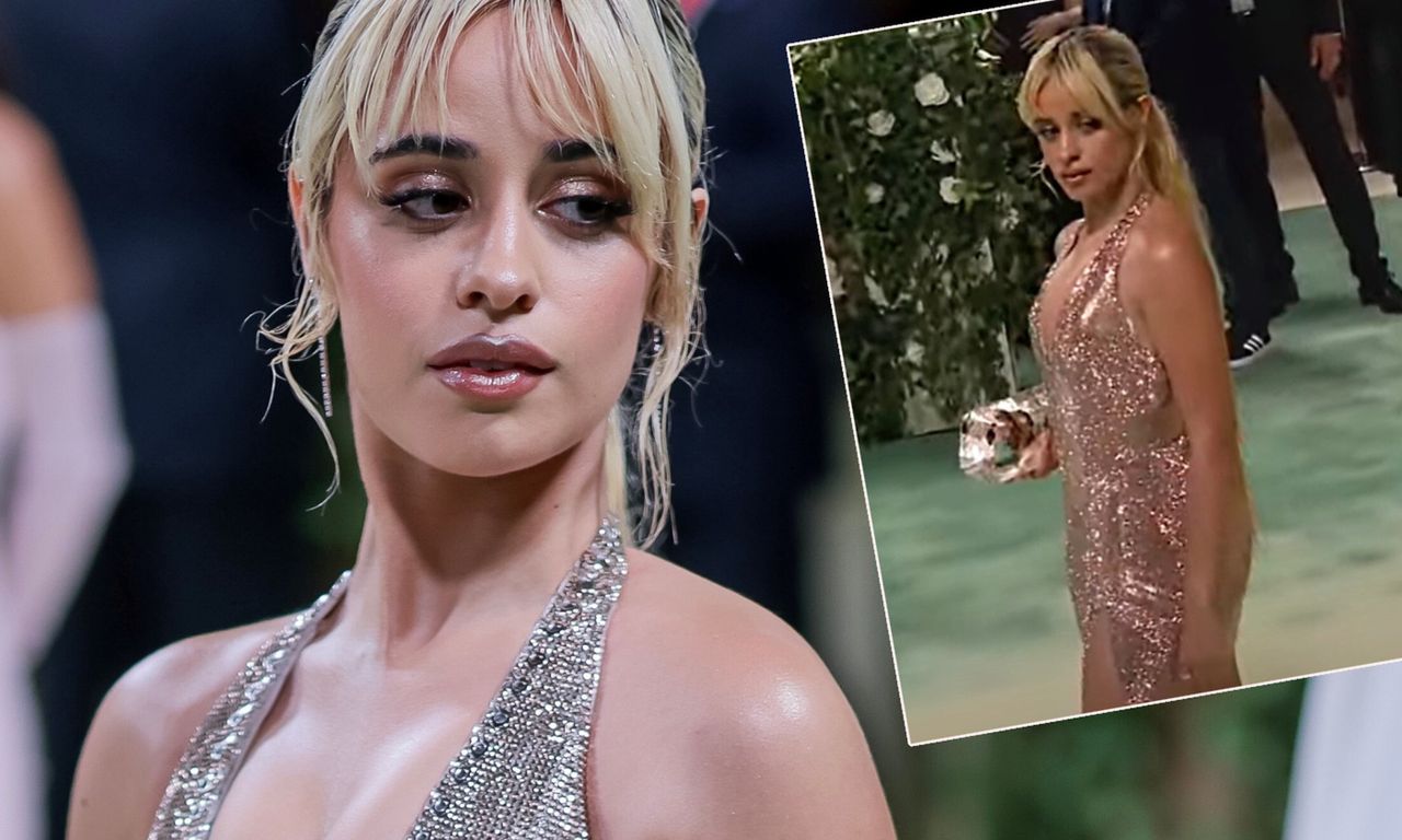 Camila Cabello at the Met Gala was wearing a very heavy dress and a surprising accessory.