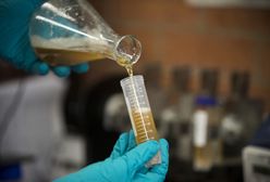 Czesi przebadali próbki z Odry. Mają już wyniki