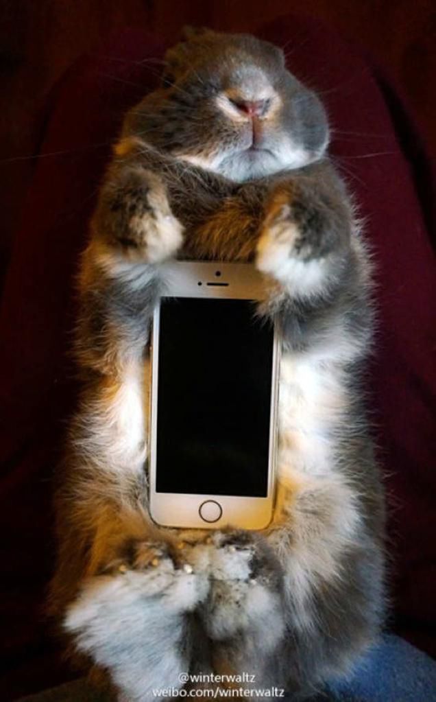 W skrócie: Galaxy Note 4 w sprzedaży, a One (M8) EYE nie dla nas 7