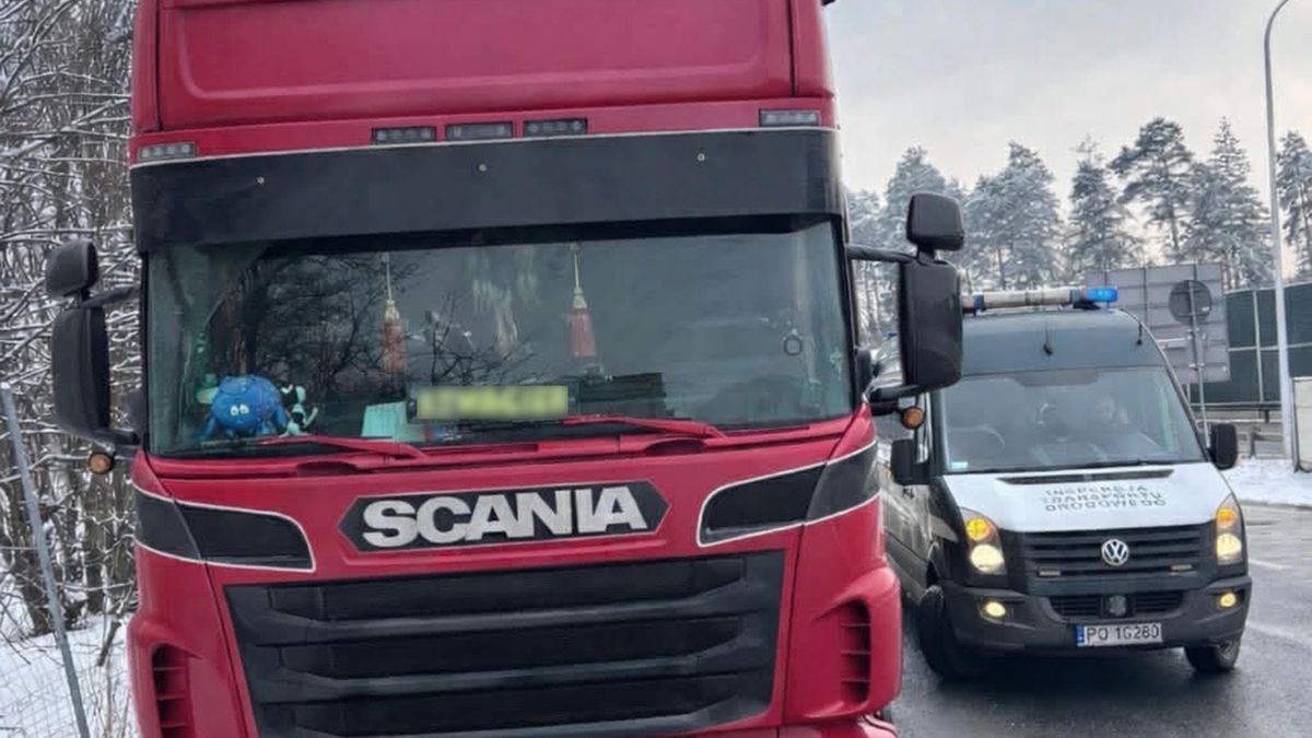 Rekordowa liczba naruszeń w Antoninie