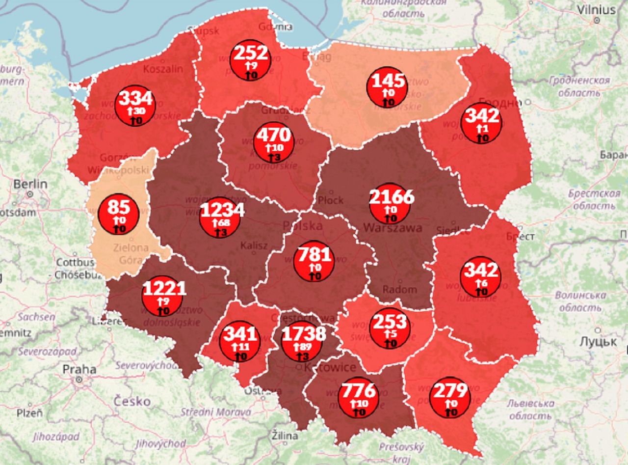 Koronawirus w Polsce. Ponad 10 750 zarażonych. Na świecie już 2 710 000 [Mapa 24.04.20]