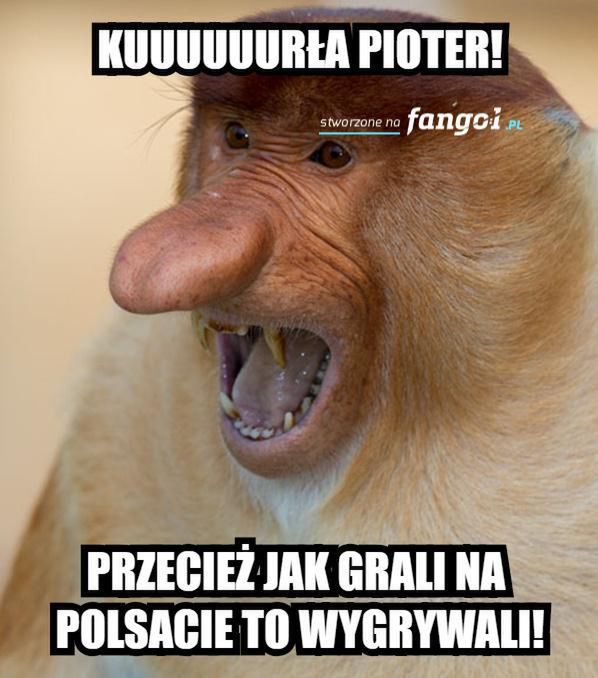 Polska-Senegal memy