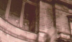 Prawdziwe wampiry są wśród nas