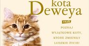 Brzydula. Historia niekochanej