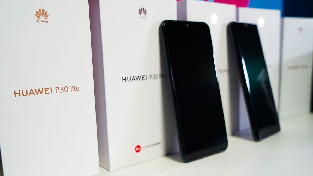 Fot. Dobreprogramy (Krzysztof Fiedor)