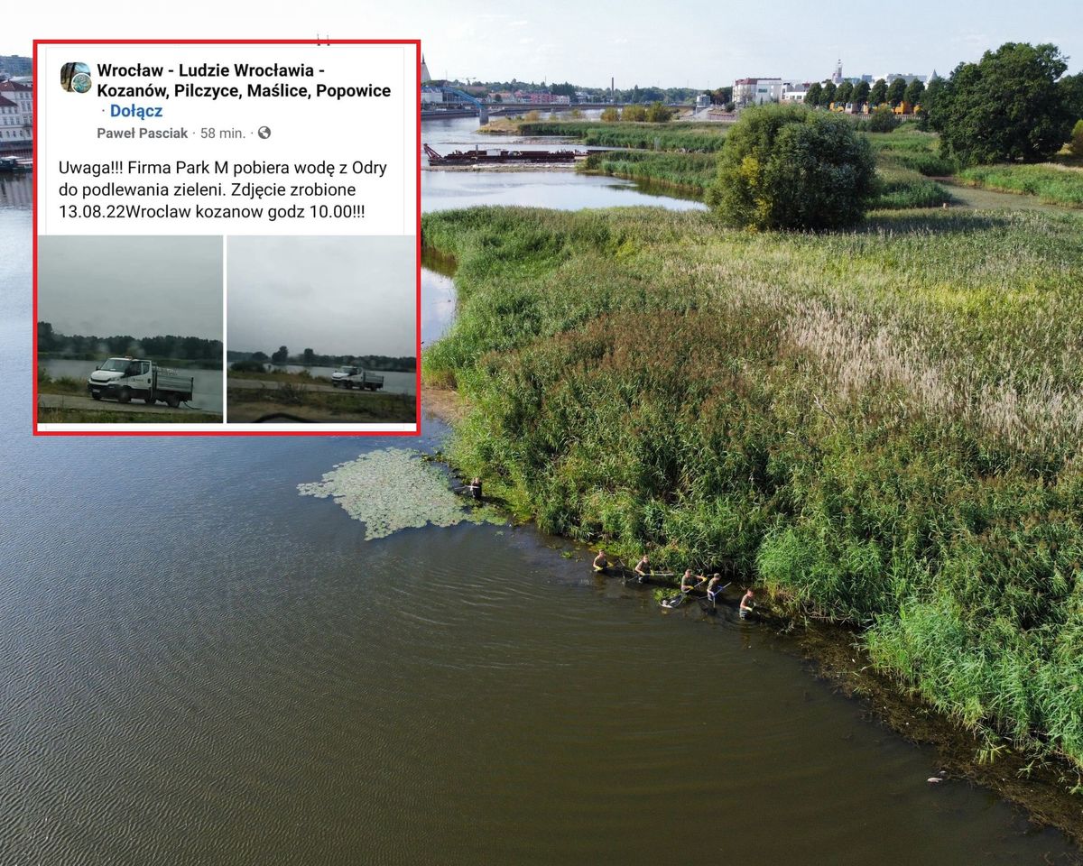 Zarząd Zieleni Miejskiej we Wrocławiu wyjaśnia sprawę firmy, która zieleń miejską ma podlewać wodą z Odry. 
