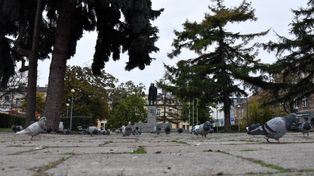 Tarnów: Miasto na przebudowę Placu Drzewnego ma dostać niemal 5 mln zł