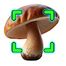 Mushroomizer icon