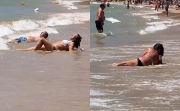 Polka sfilmowała ich na plaży. "Nie mogłam przestać na nich patrzeć"