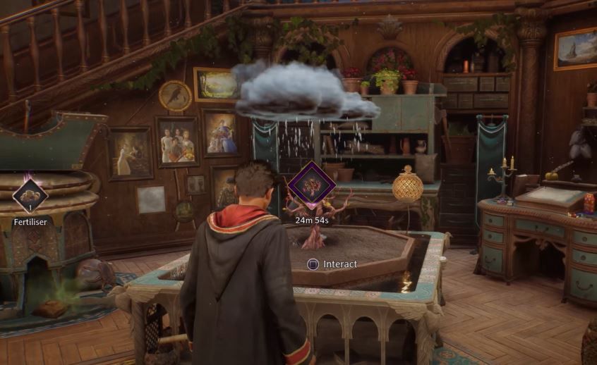 Rośliny w Hogwarts Legacy są ważnym składnikiem alchemicznym.