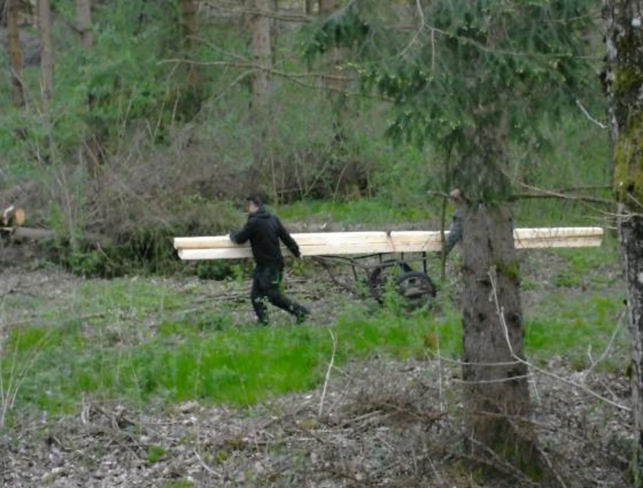 Leśny monitoring zadziałał bezbłędnie. "Nie, to nie żart"