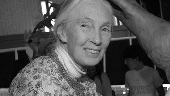 Jane Goodall nie żyje. Legendarna prymatolożka była autorytetem dla wielu