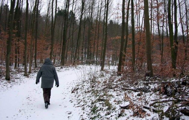 Śniegołazy, czyli nocna wędrówka Szlakiem Kartuskim