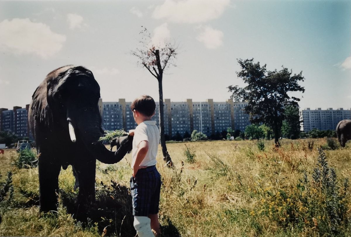 Gdańsk. Zrobił zdjęcie ze słoniem. Dziś byłoby to niemożliwe