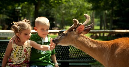 Zoo w Gdańsku znów otwarte. Odwiedzających czekają zmiany