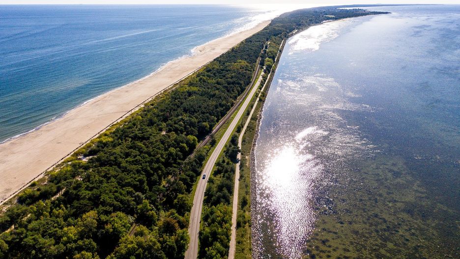 Czy mieszkańcom Helu uda się uratować drzewa przed inwestorem?