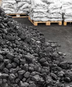 Cena ekogroszku i węgla. Ile kosztuje opał w lutym 2024?