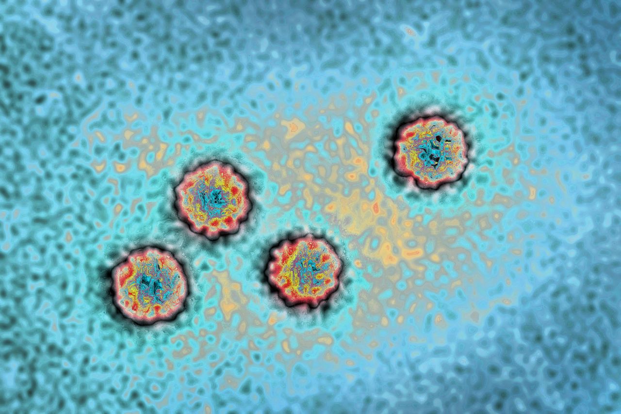 Alarmujący wzrost przypadków. Groźny wirus u naszych sąsiadów
