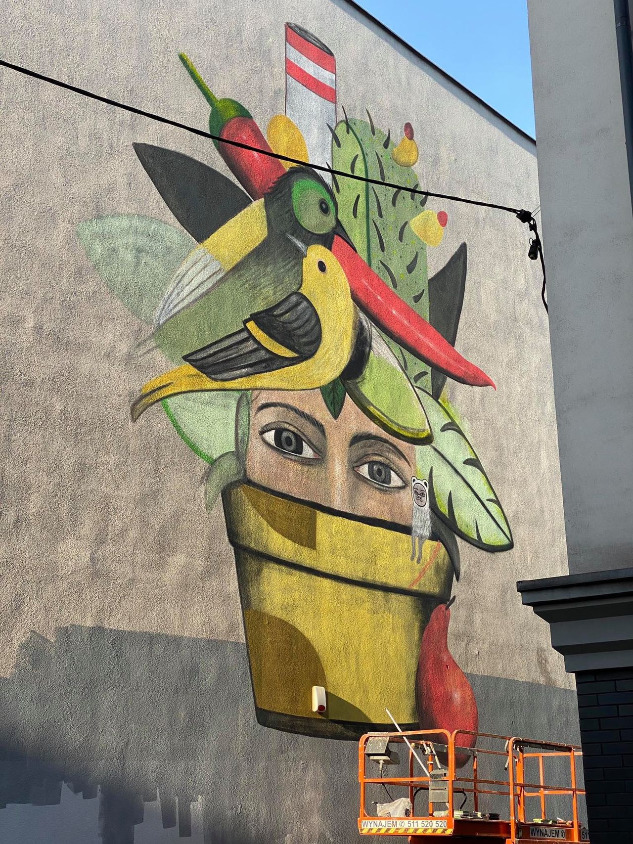 Katowice. Ekologiczny mural, który oczyszcza powietrze z mocą lasu