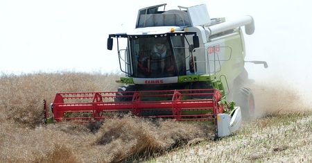 Rekord zysku Kernel Holding dzięki słabej hrywnie i dobrej pogodzie