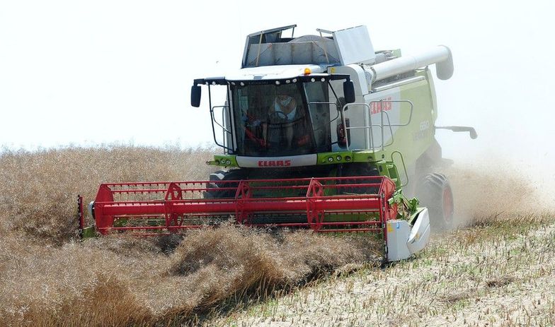 Rolnictwo w Polsce. Uwaga na dzieci przy pracach w gospodarstwach rolnych