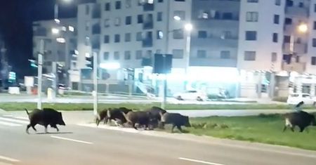 Oto co Ukrainiec zastał w Warszawie. Nagranie trafiło do sieci
