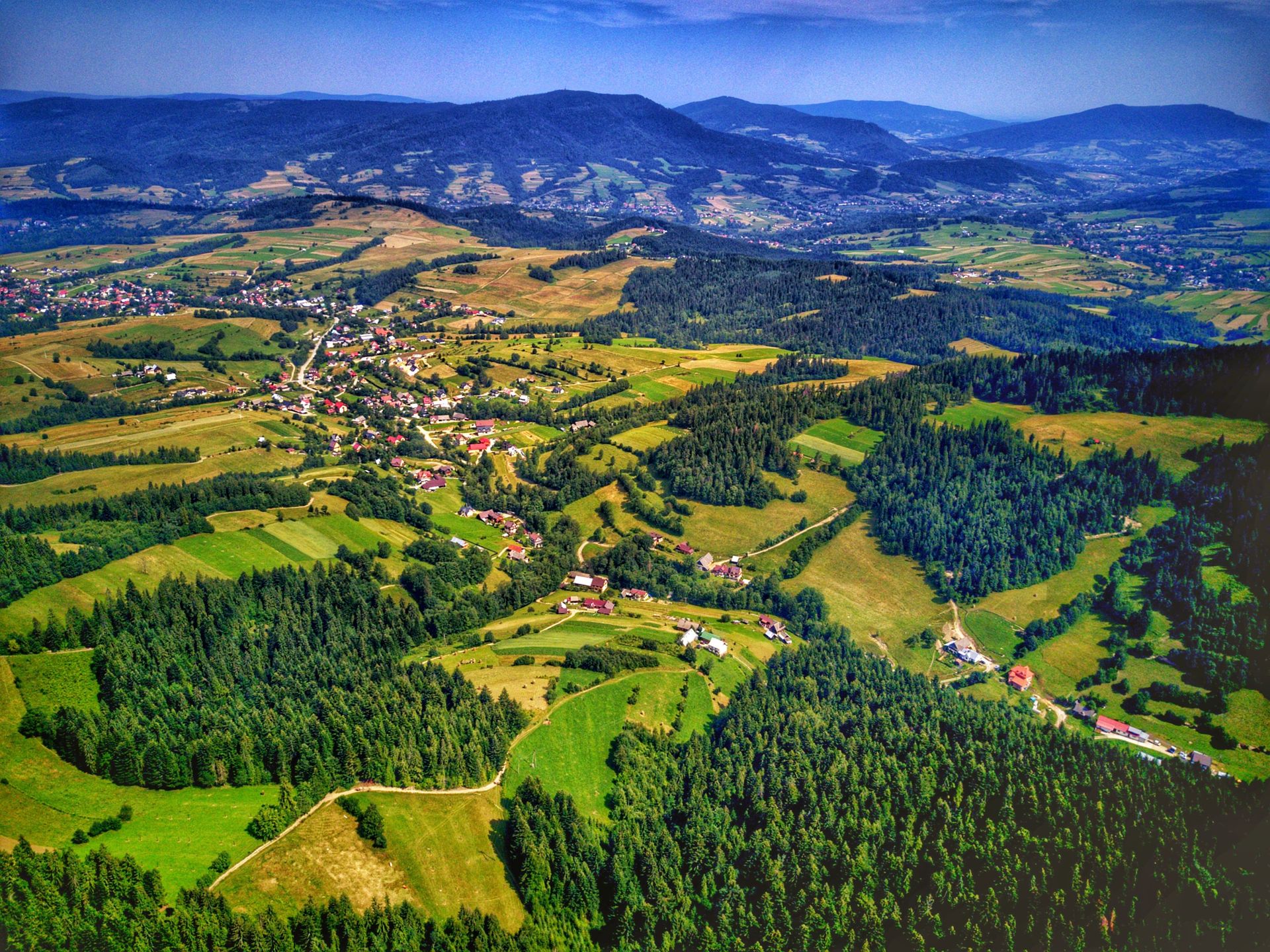 Obraz