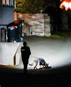 Masakra w Norwegii. Pierwsze hipotezy śledczych ws. "łucznika" z Kongsberg