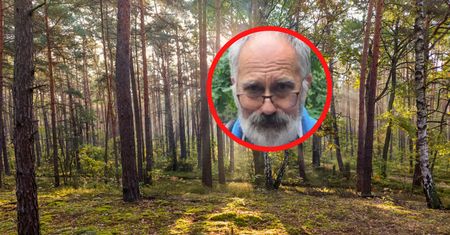 Polacy wracają z lasów i się skarżą. To koniec? Zapytaliśmy