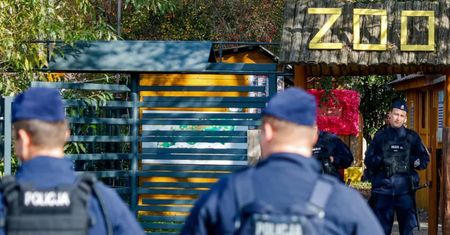 Kryzys w zoo w Łącznej. Ekspertka rezygnuje, zarzut dla policjantki