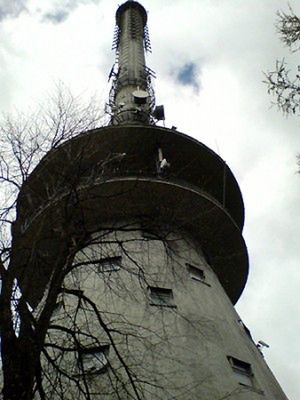 Obraz